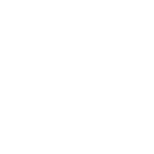 WMPl Logo